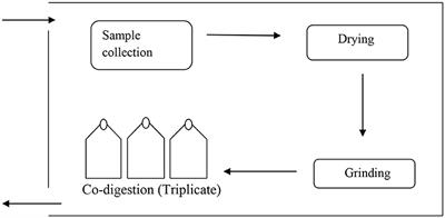 Effect of Pretreatment and Substrate Ratios in Biorefinery Employing Co-digestion of Plant Biomass and Poultry Waste